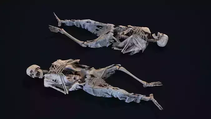 Skeleton Remains 1 Low-poly 3D model