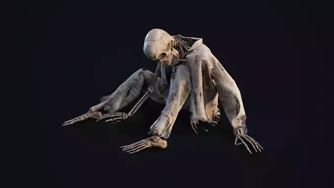 Skeleton Remains 2 Low-poly 3D model