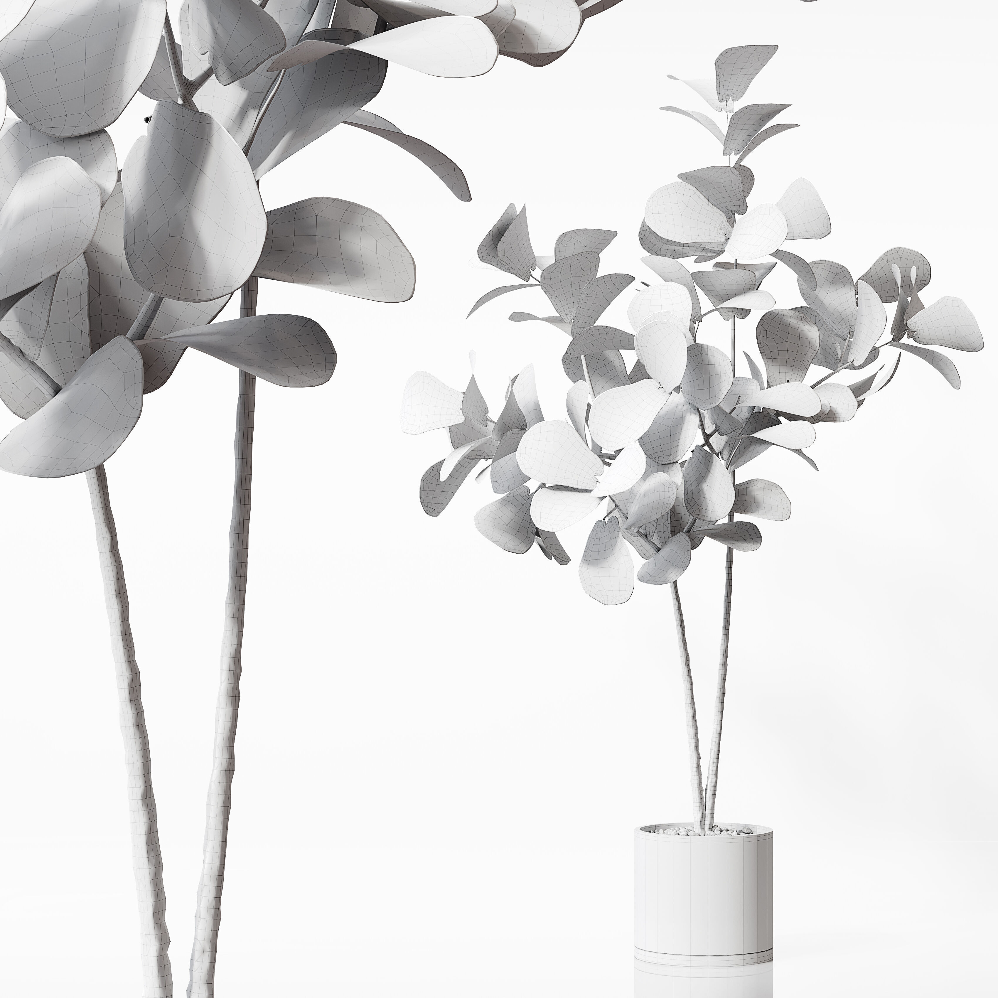 Indoor Plant 25 Low-poly 3D model_2