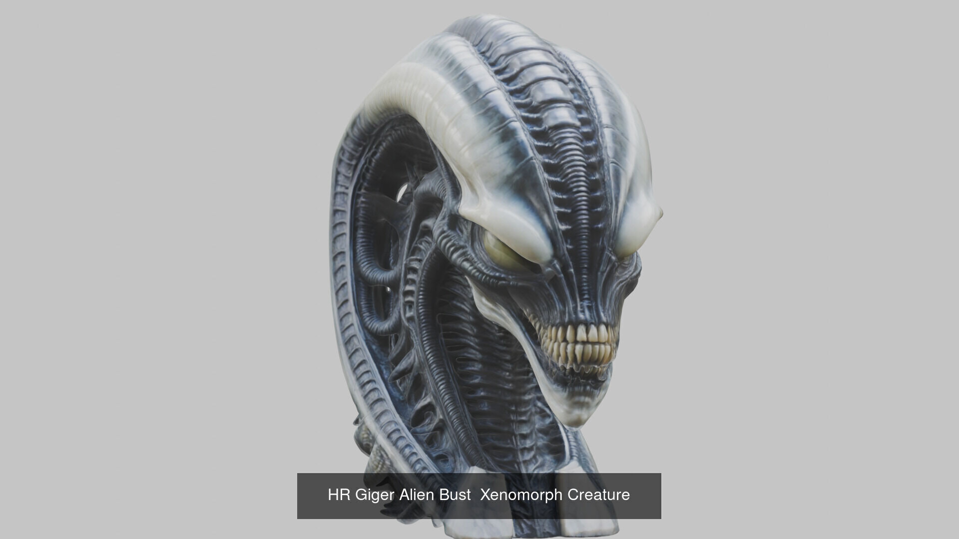 20 Premium 3D Models Bundle Characters Architecture Animals 3D Model Collection_3