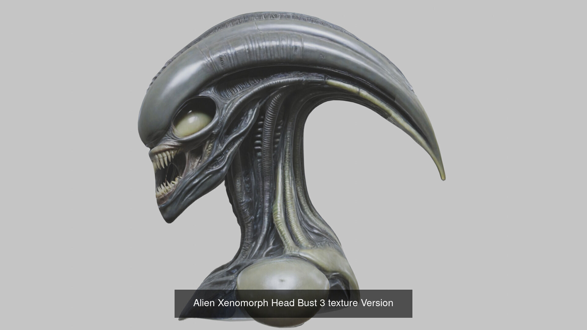 20 Premium 3D Models Bundle Characters Architecture Animals 3D Model Collection_5