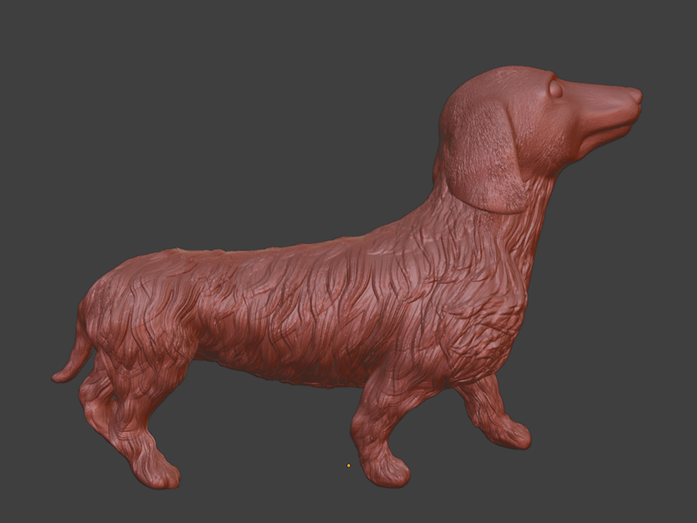 Realistic Long Haired Dachshund Dog 3D print model_9