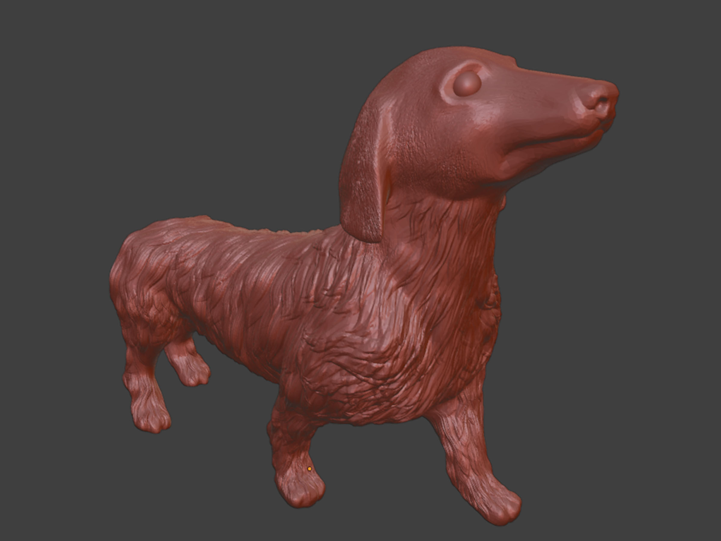 Realistic Long Haired Dachshund Dog 3D print model_8
