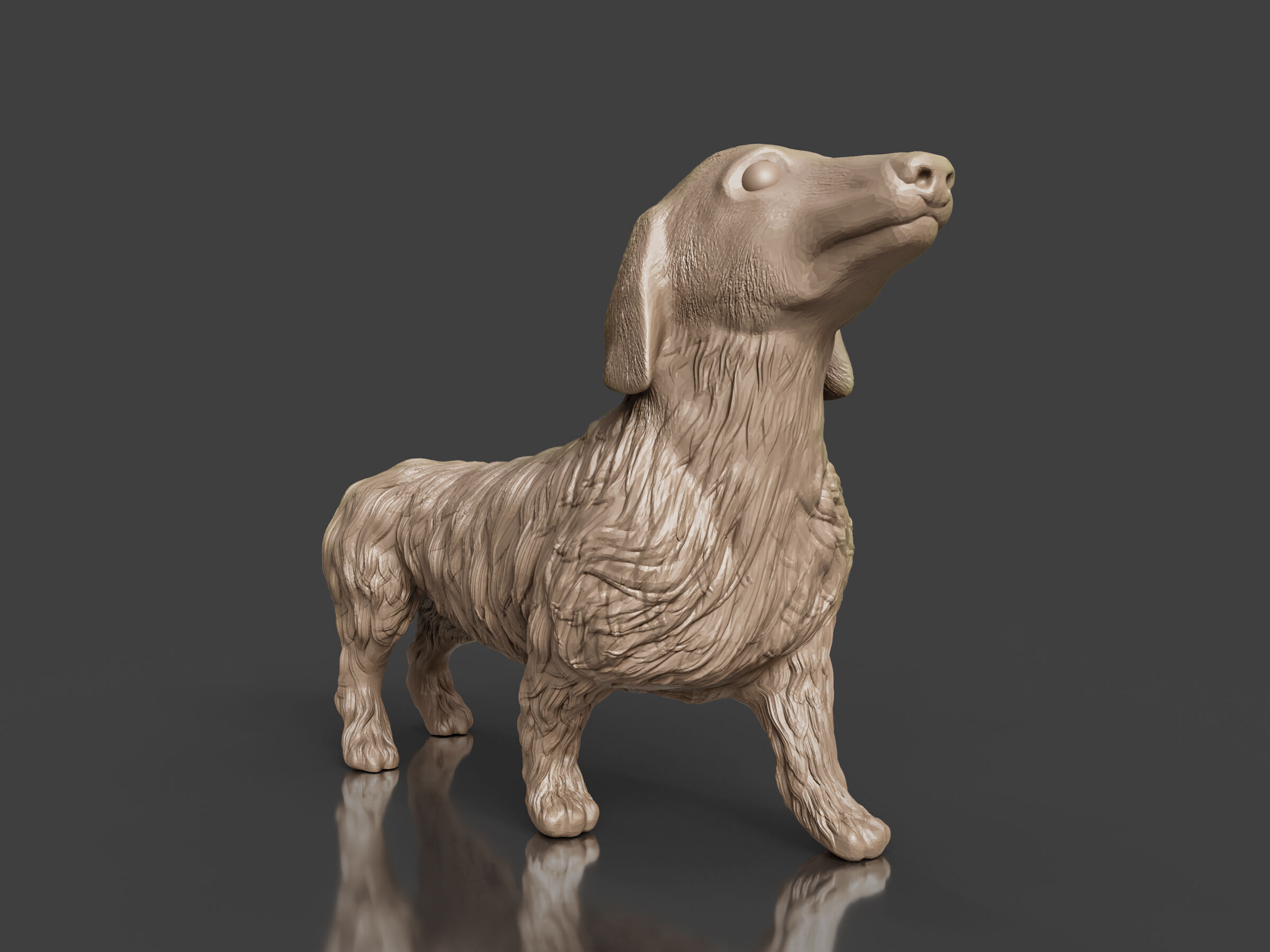 Realistic Long Haired Dachshund Dog 3D print model_1
