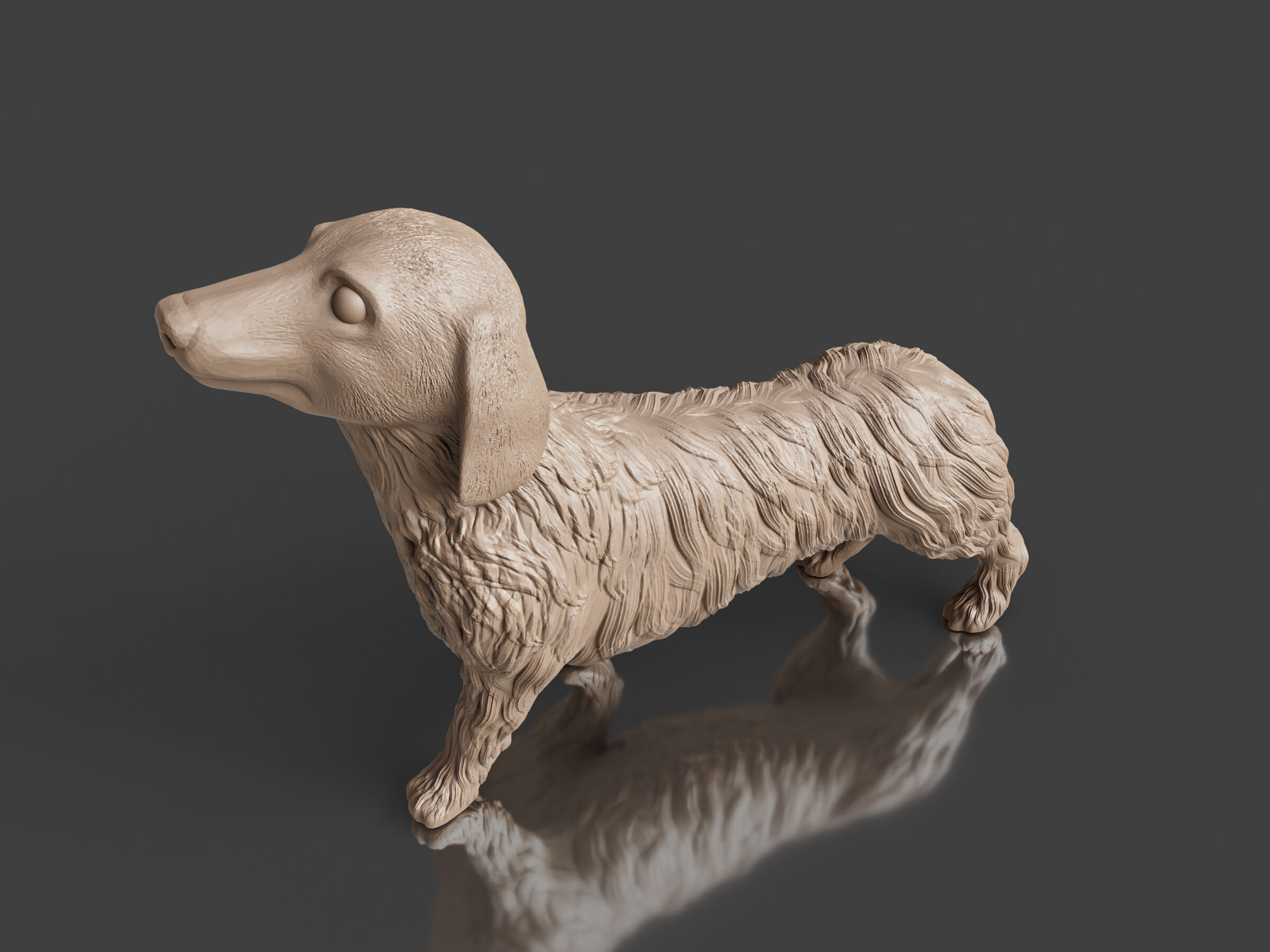 Realistic Long Haired Dachshund Dog 3D print model_5