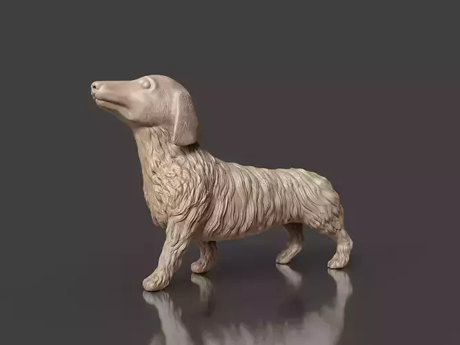 Realistic Long Haired Dachshund Dog