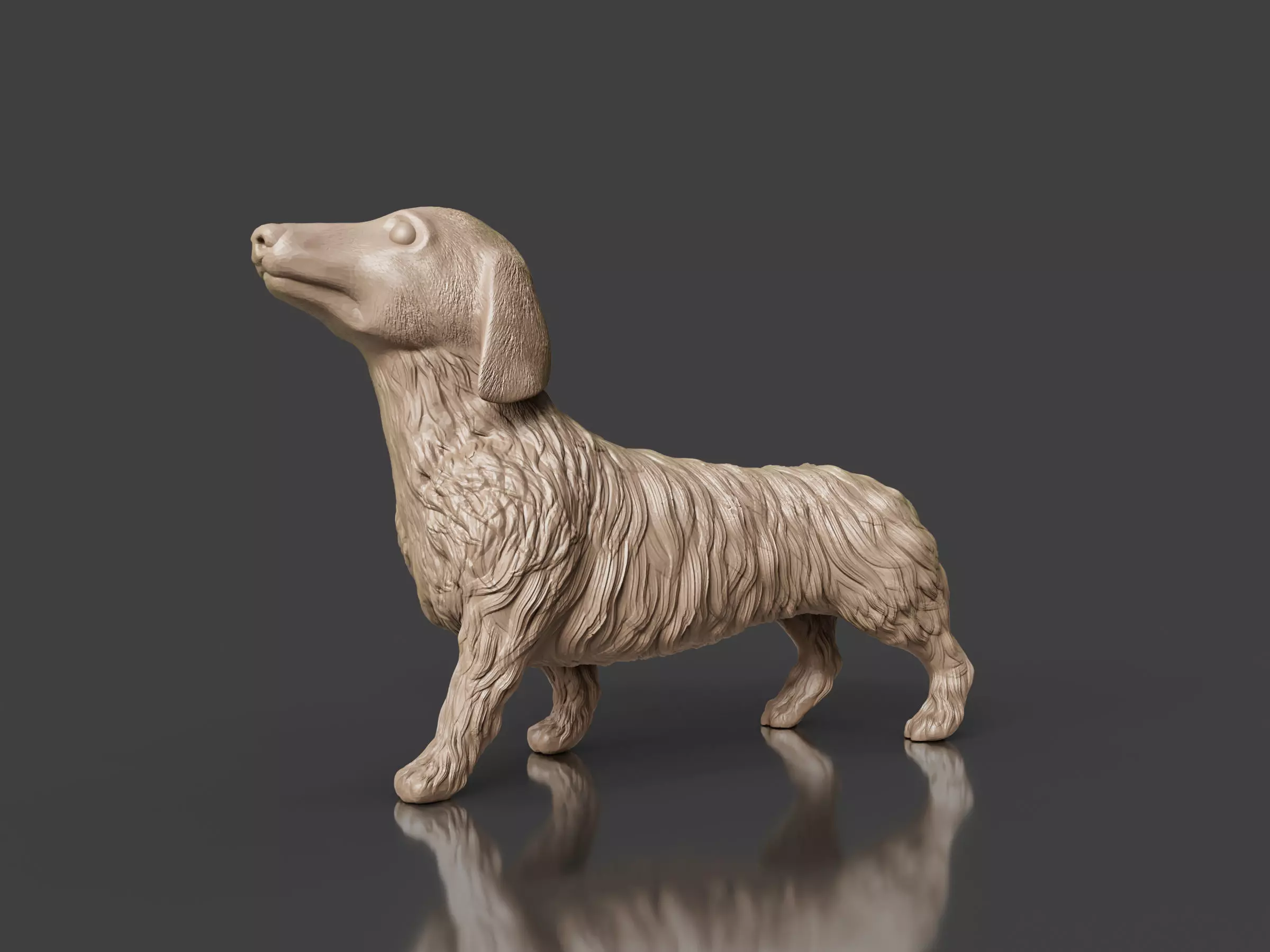 Realistic Long Haired Dachshund Dog 3D print model_0