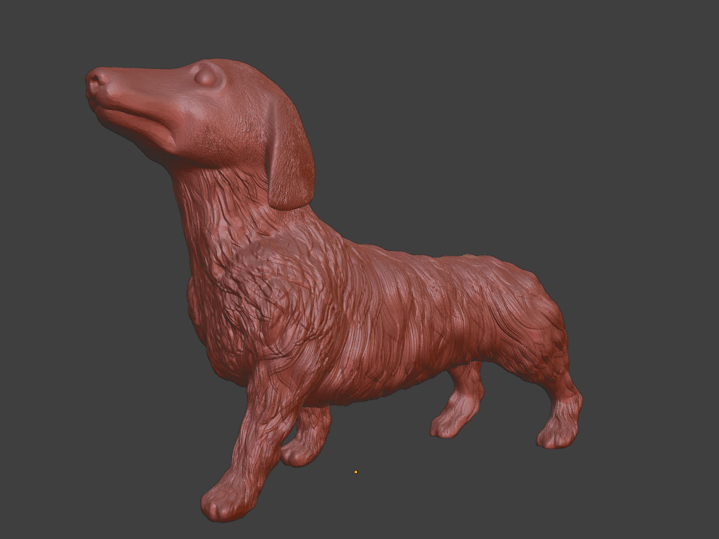 Realistic Long Haired Dachshund Dog 3D print model_7