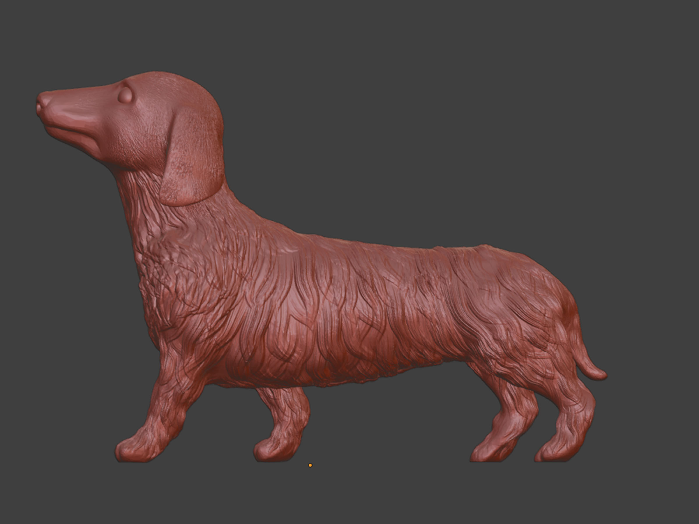 Realistic Long Haired Dachshund Dog 3D print model_6