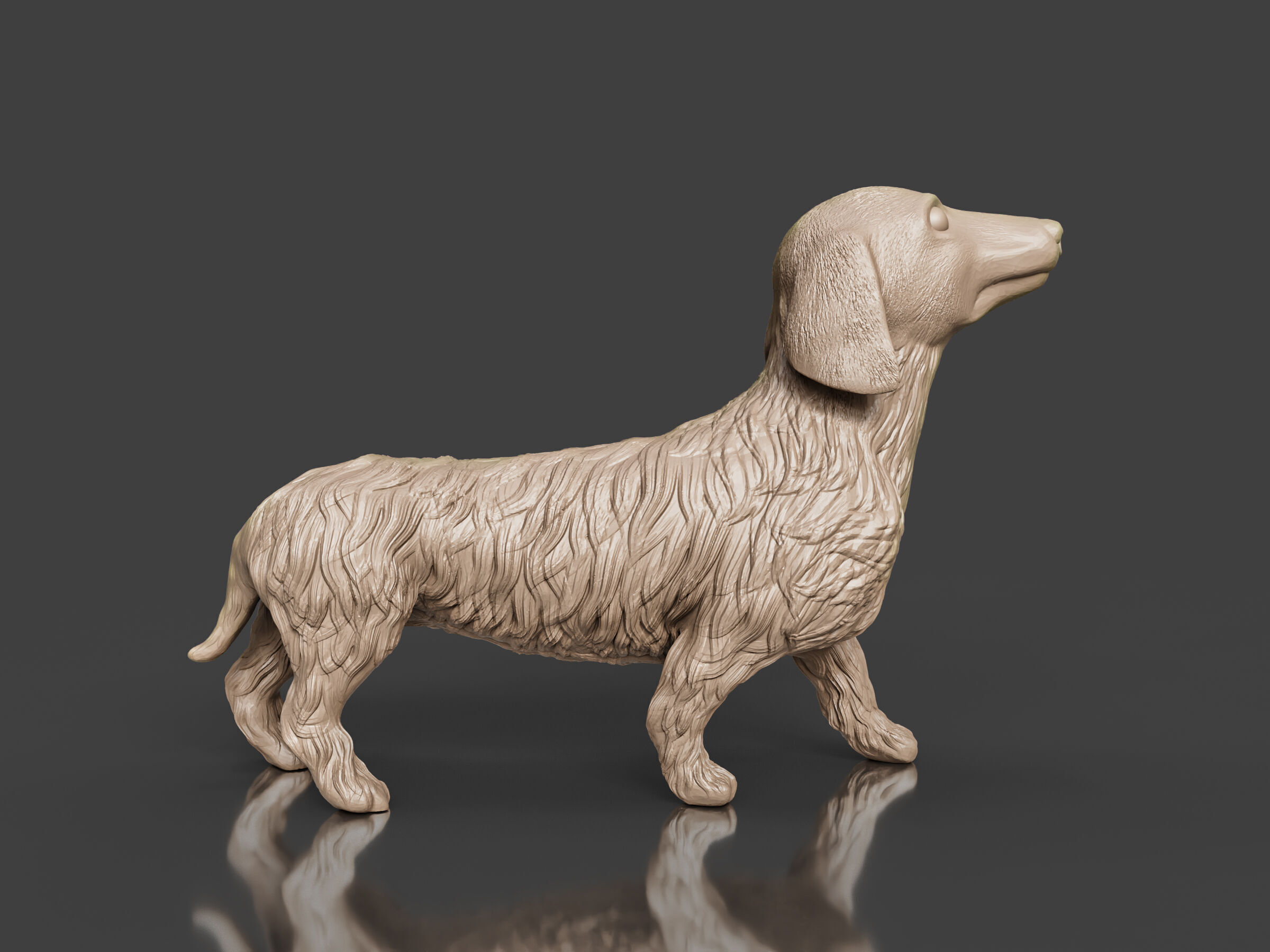 Realistic Long Haired Dachshund Dog 3D print model_2
