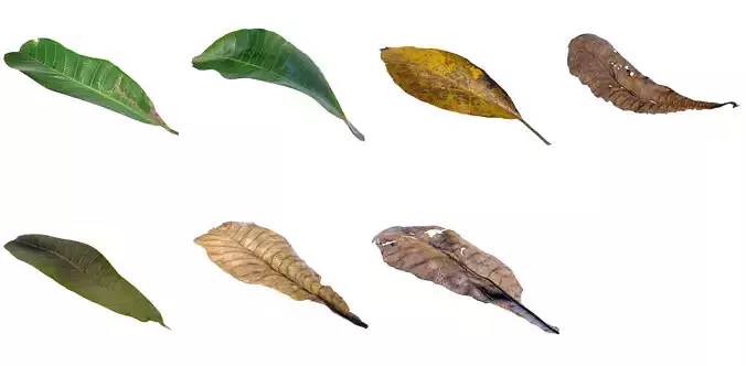 7 different autumn leaves Free low-poly 3D model