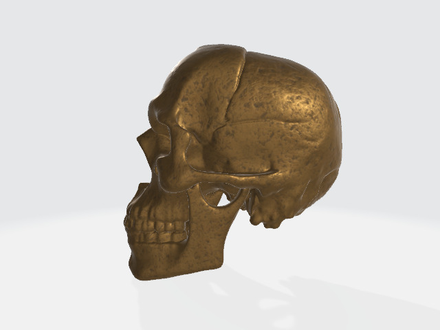 Bronze Skull Low-poly 3D model_1