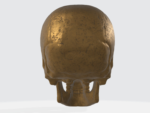 Bronze Skull Low-poly 3D model_8