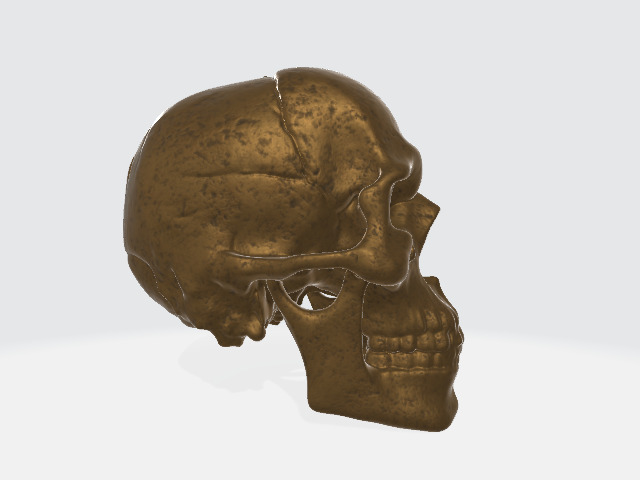Bronze Skull Low-poly 3D model_3