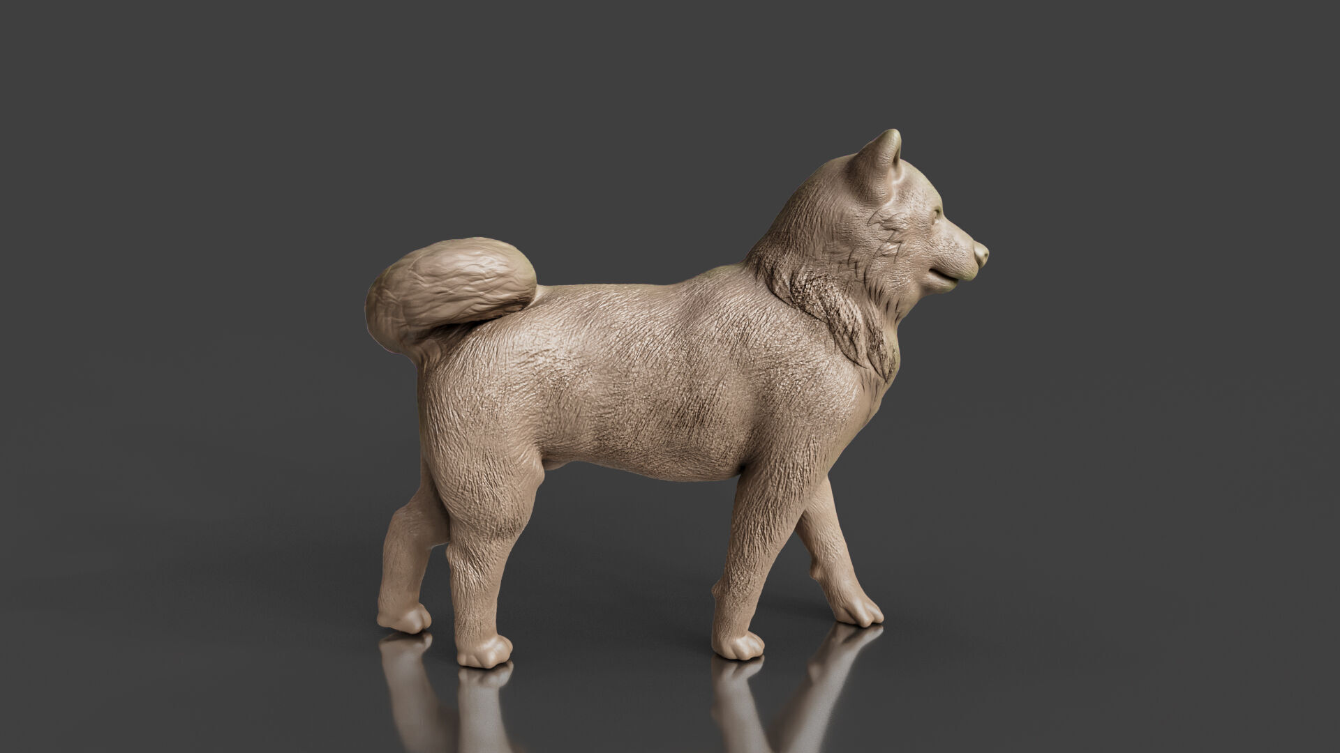 Realistic Shiba Inu Dog 3D print model_1