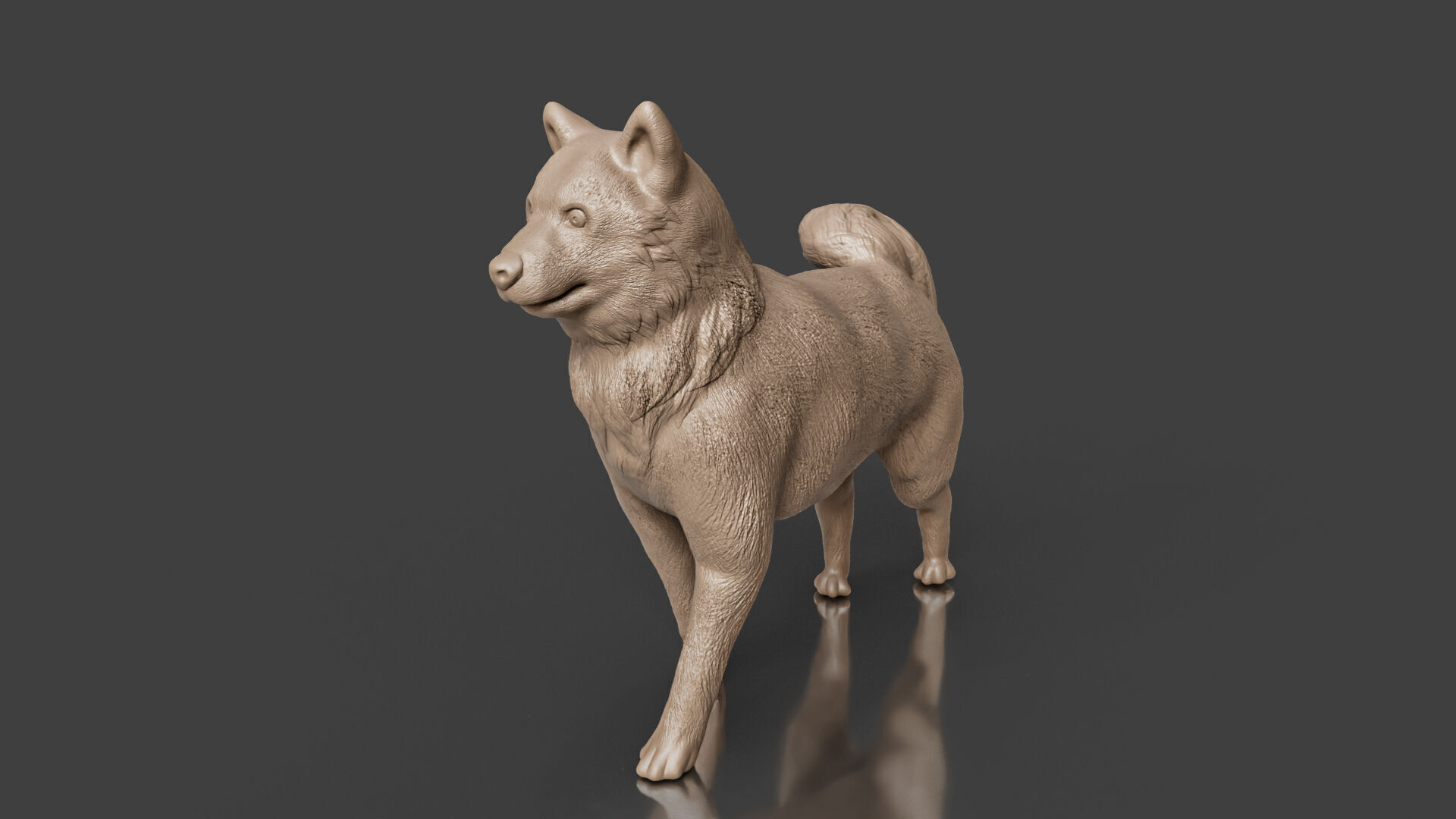 Realistic Shiba Inu Dog 3D print model_4