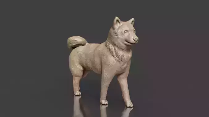 Realistic Shiba Inu Dog