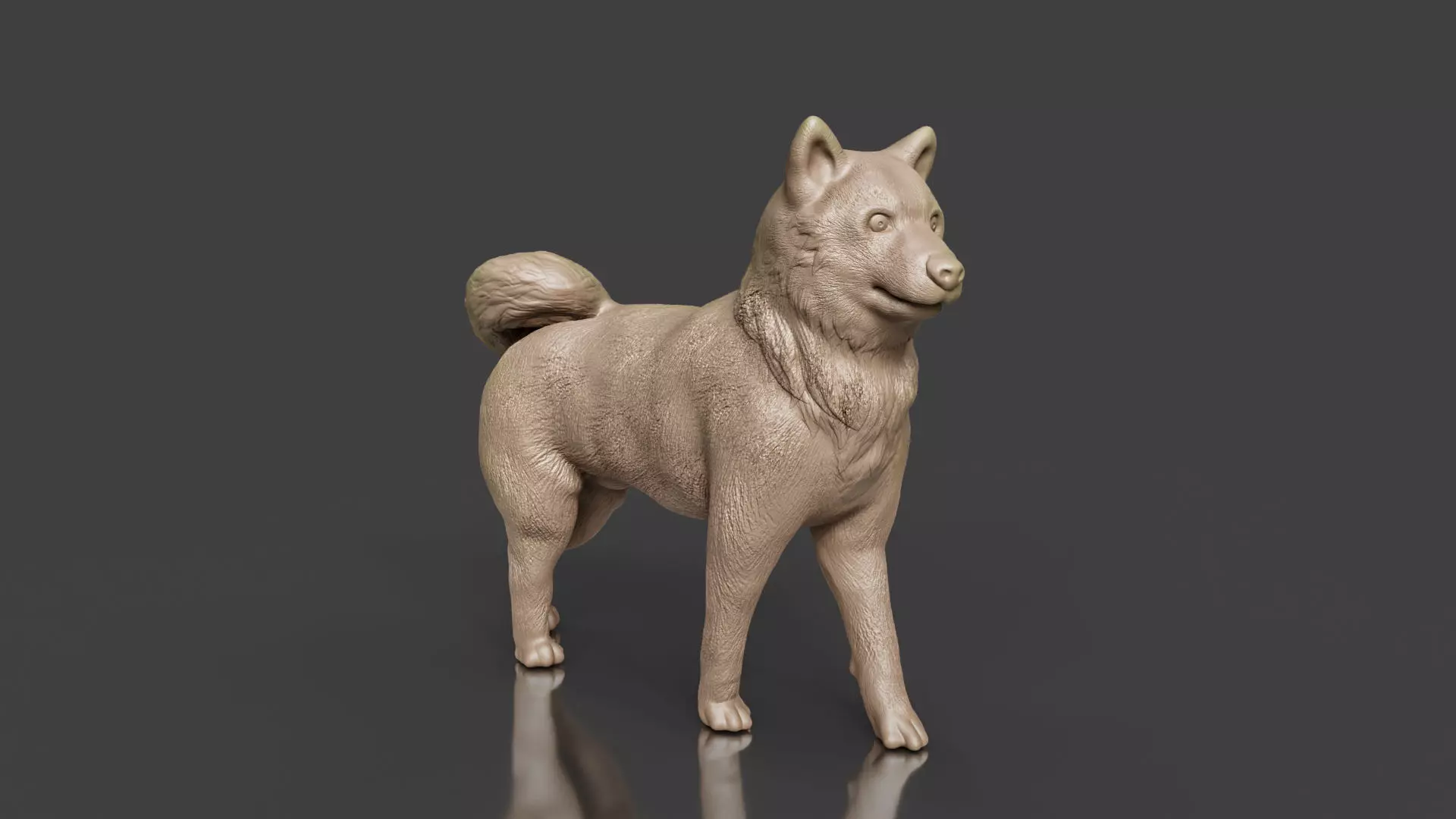 Realistic Shiba Inu Dog 3D print model_0