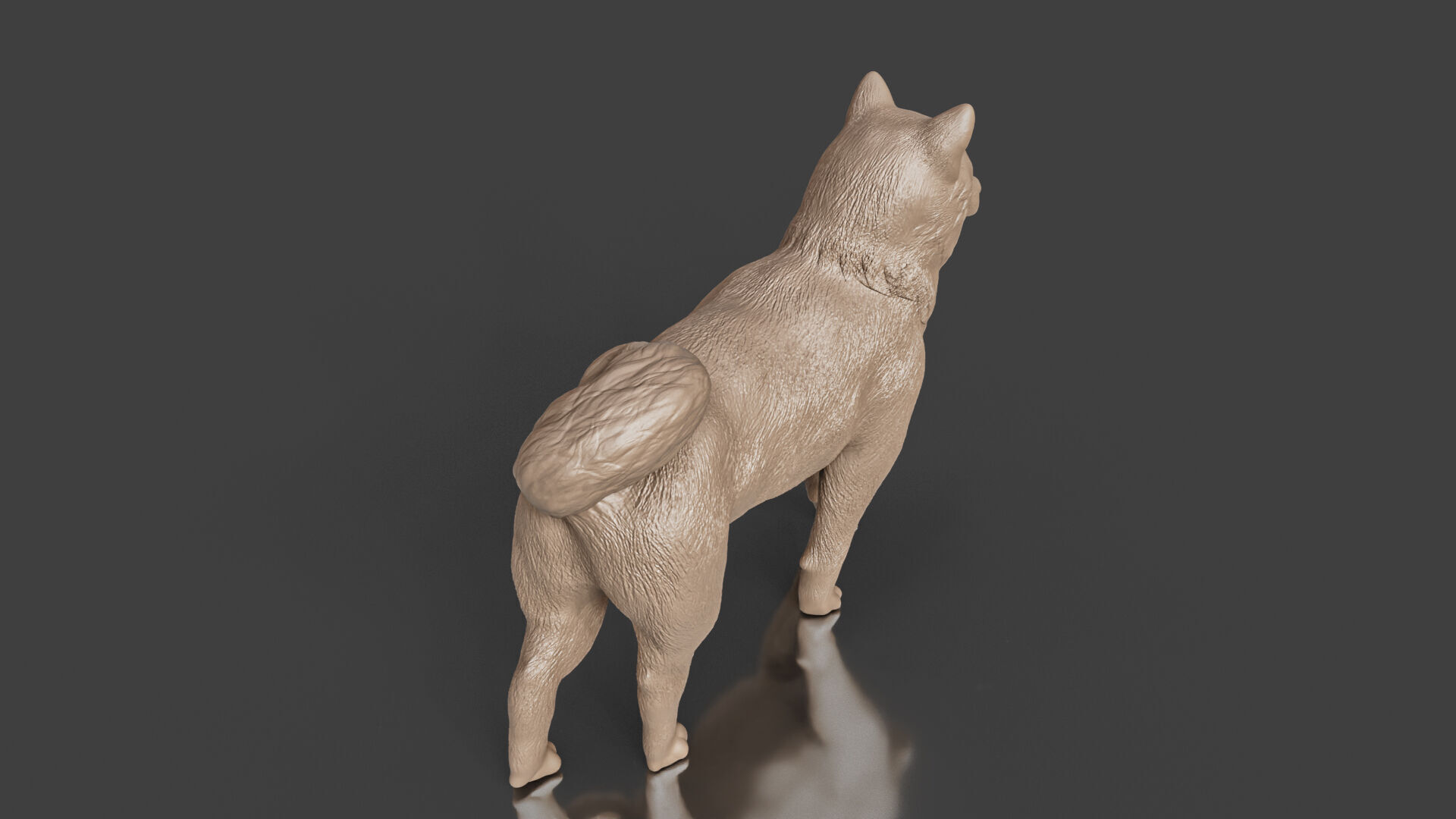 Realistic Shiba Inu Dog 3D print model_2