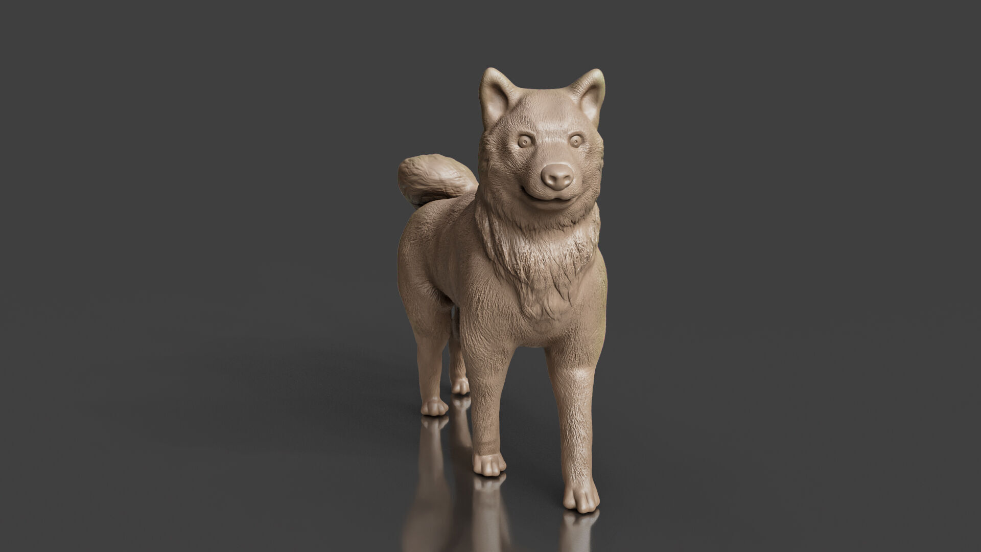 Realistic Shiba Inu Dog 3D print model_5