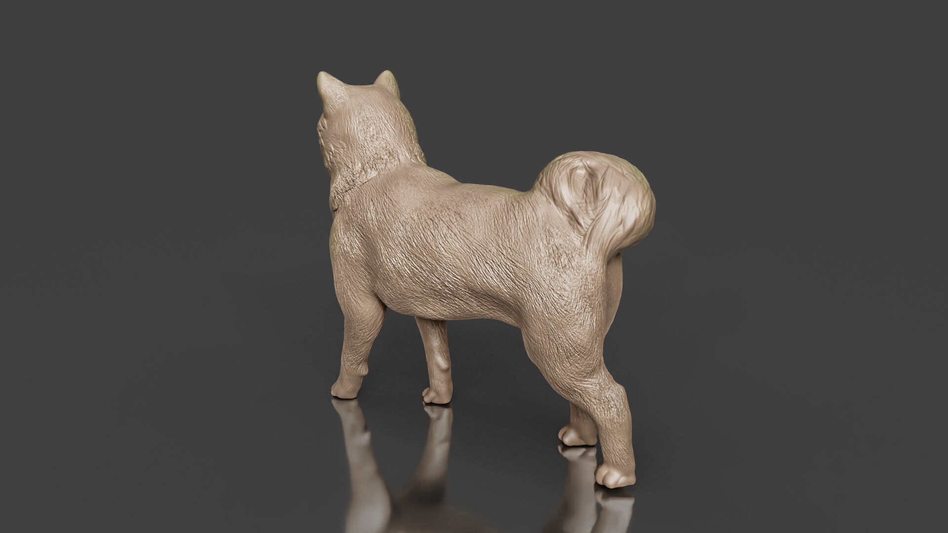 Realistic Shiba Inu Dog 3D print model_3