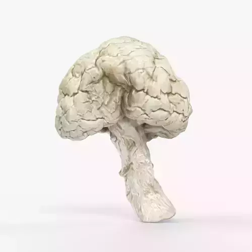 Photorealistic 3D scan of Dried spoiled Rotten mushroom