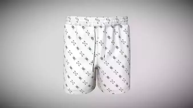 Mens Shorts Pant In Low  Poly