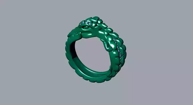ring 3d model