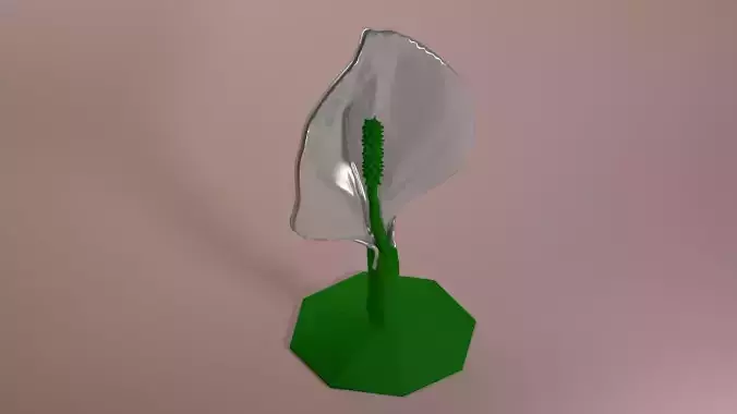 little spathiphyllum 3D print model