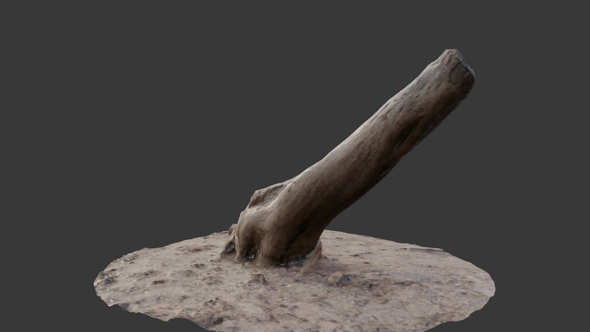 Leaning Tree Trunk Scan Low-poly 3D model_6