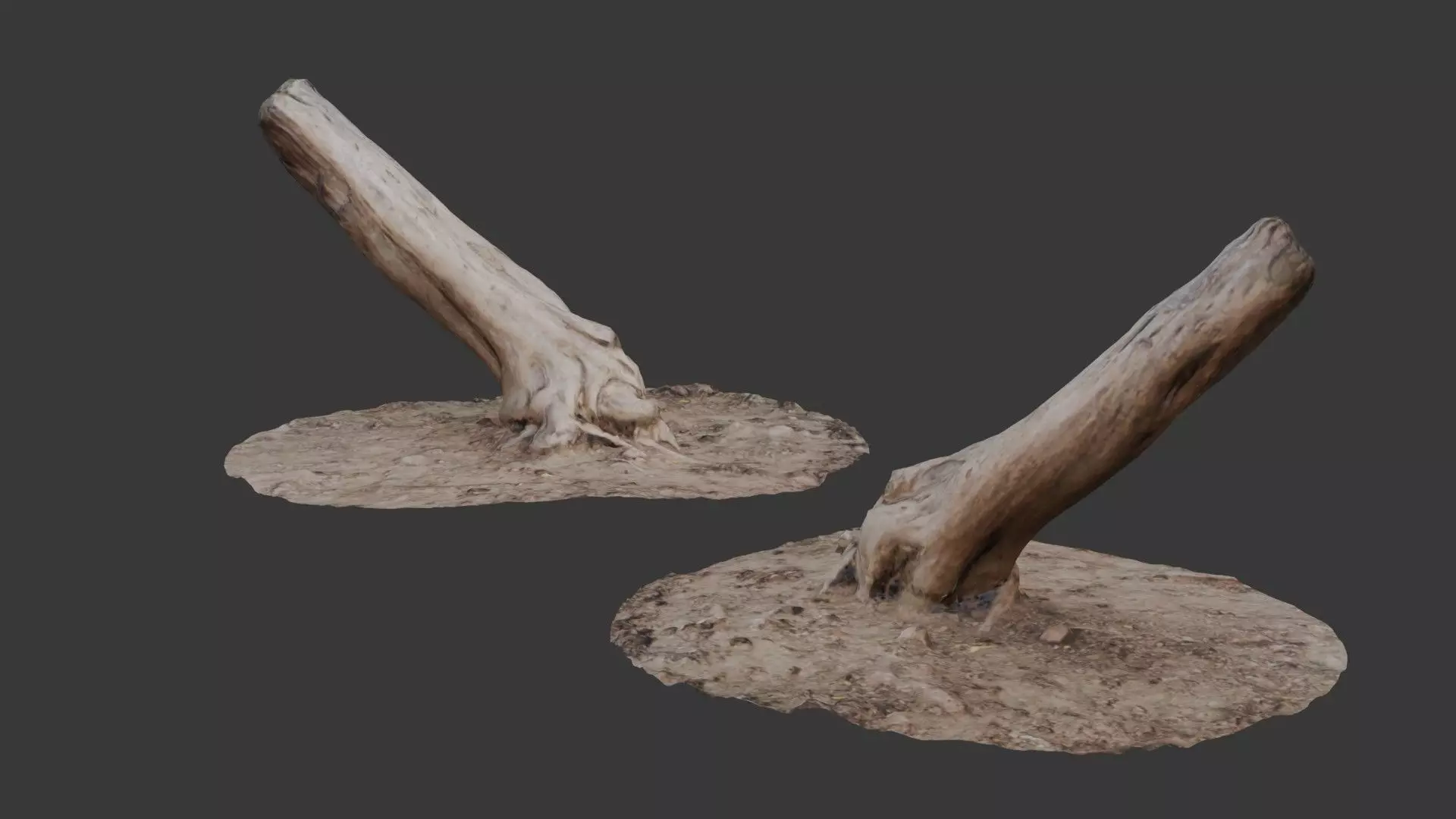 Leaning Tree Trunk Scan Low-poly 3D model_0
