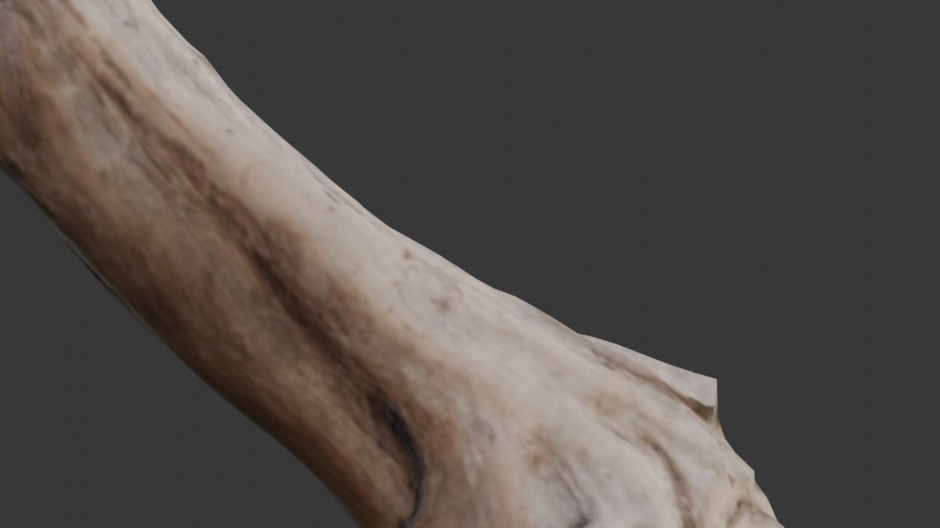 Leaning Tree Trunk Scan Low-poly 3D model_3