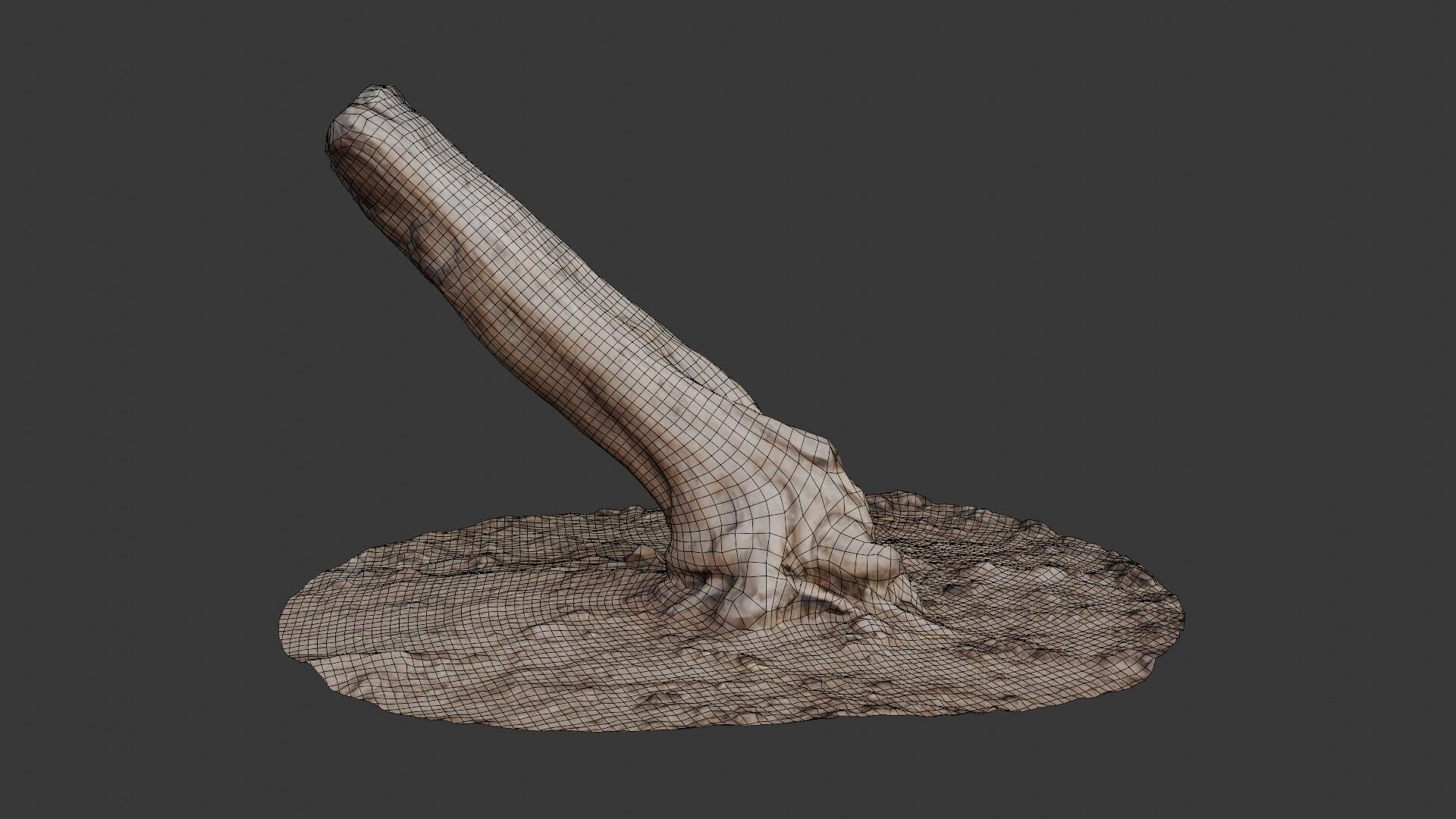 Leaning Tree Trunk Scan Low-poly 3D model_2