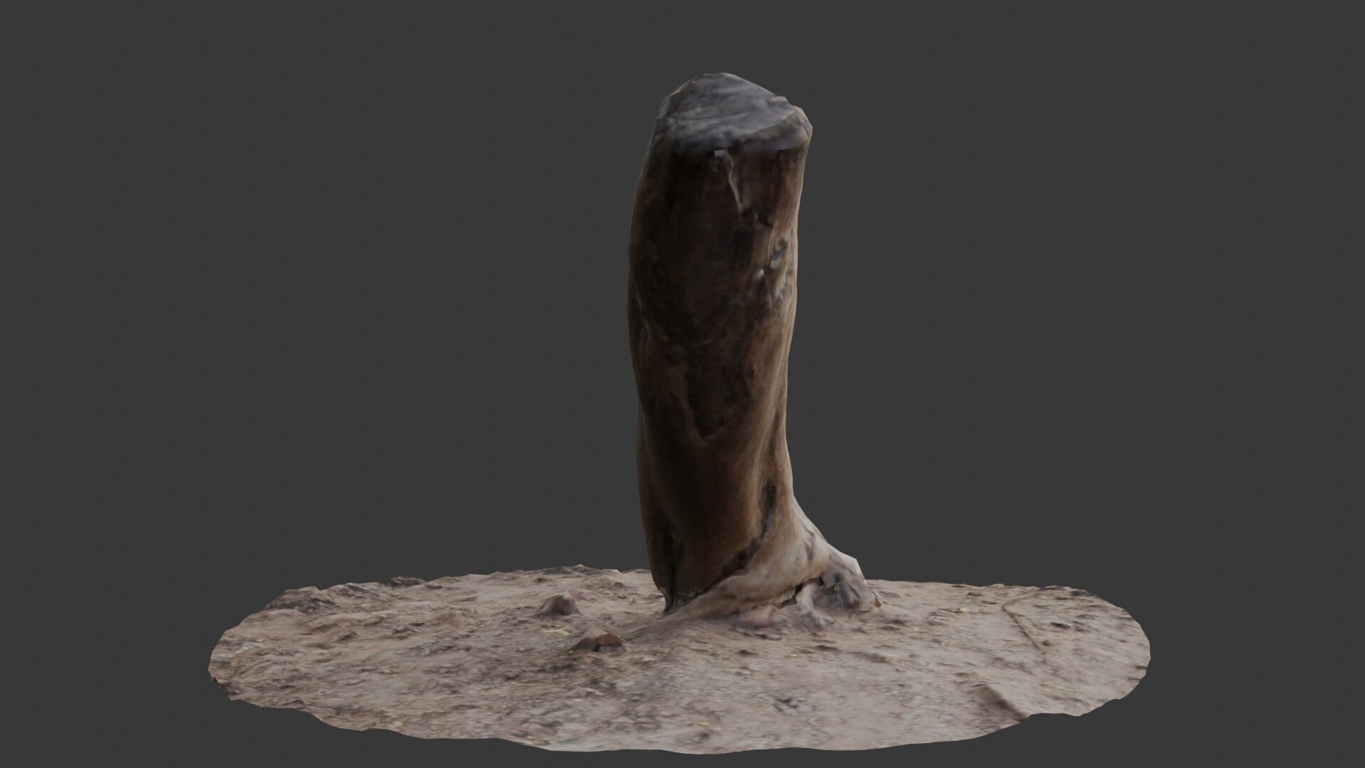 Leaning Tree Trunk Scan Low-poly 3D model_5