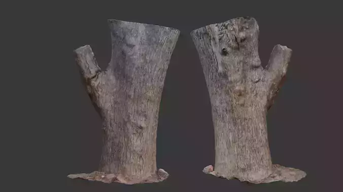 Double Branch Tree Stump Scan