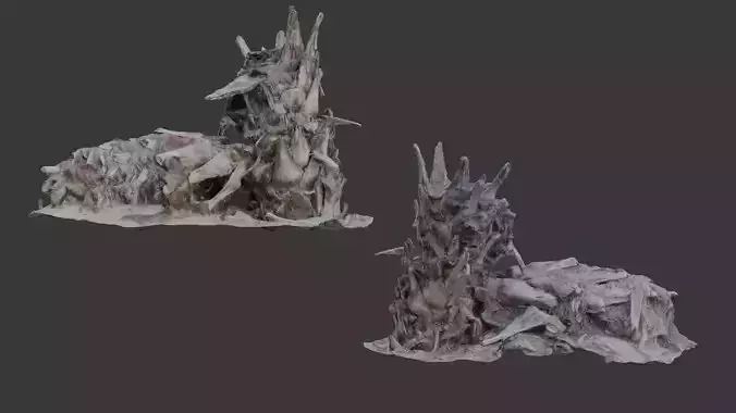 Uprooted Tree Roots Scan