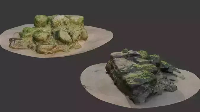 Mossy Beach Rock Scan