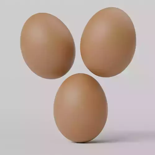 Egg 3D