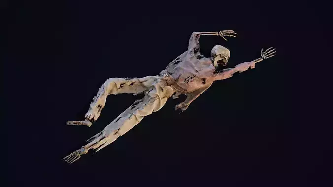 Skeleton Remains 3 Low-poly 3D model