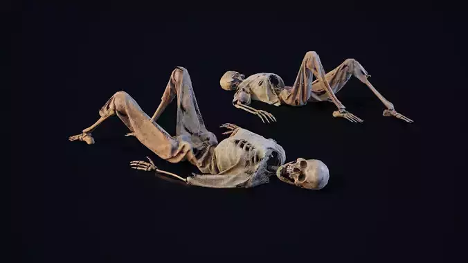 Skeleton Remains 4 Low-poly 3D model