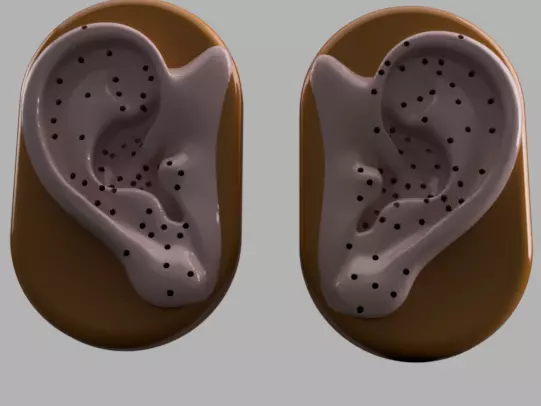 Acupuncture Ear Model 3D print model