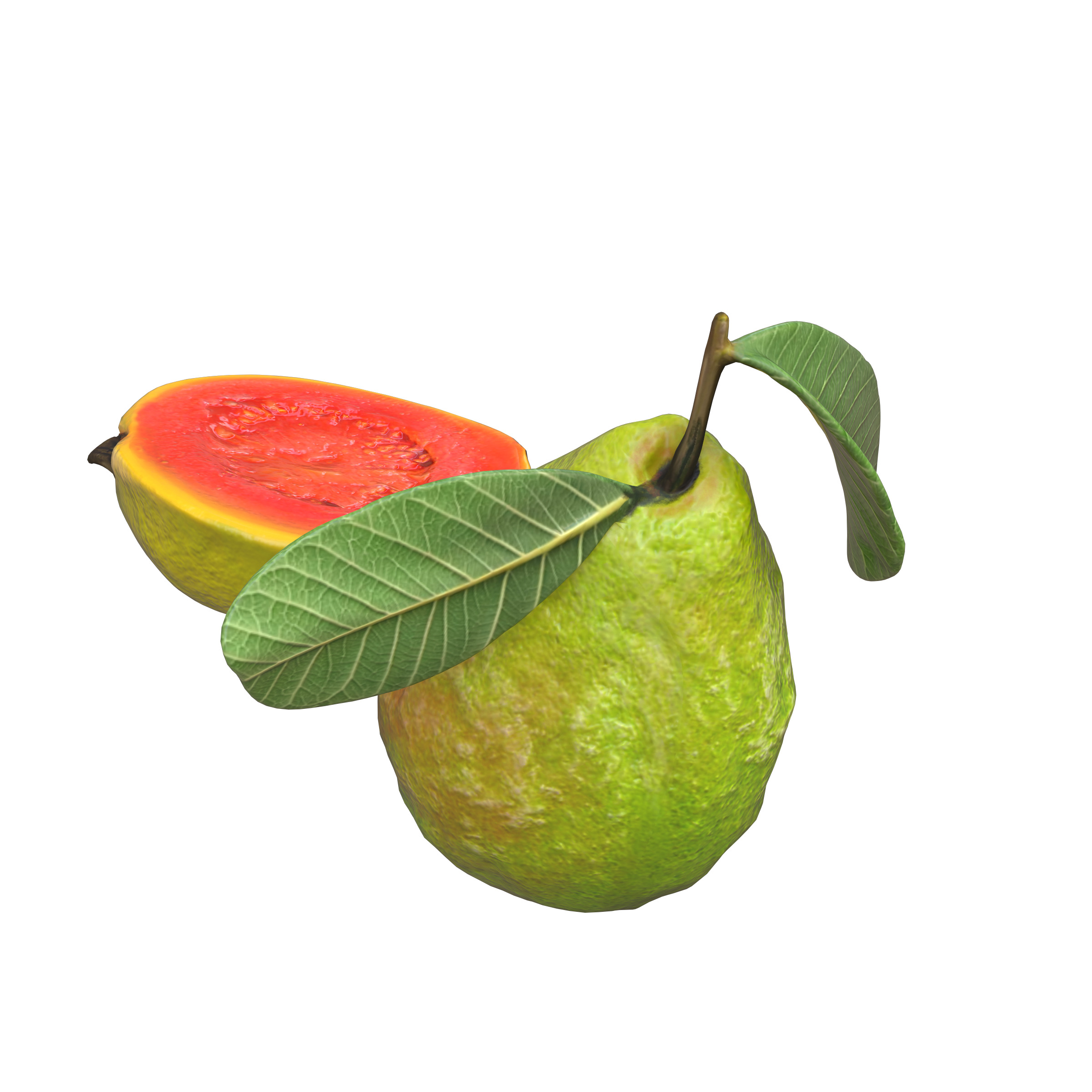  Guava  Low-poly 3D model_16