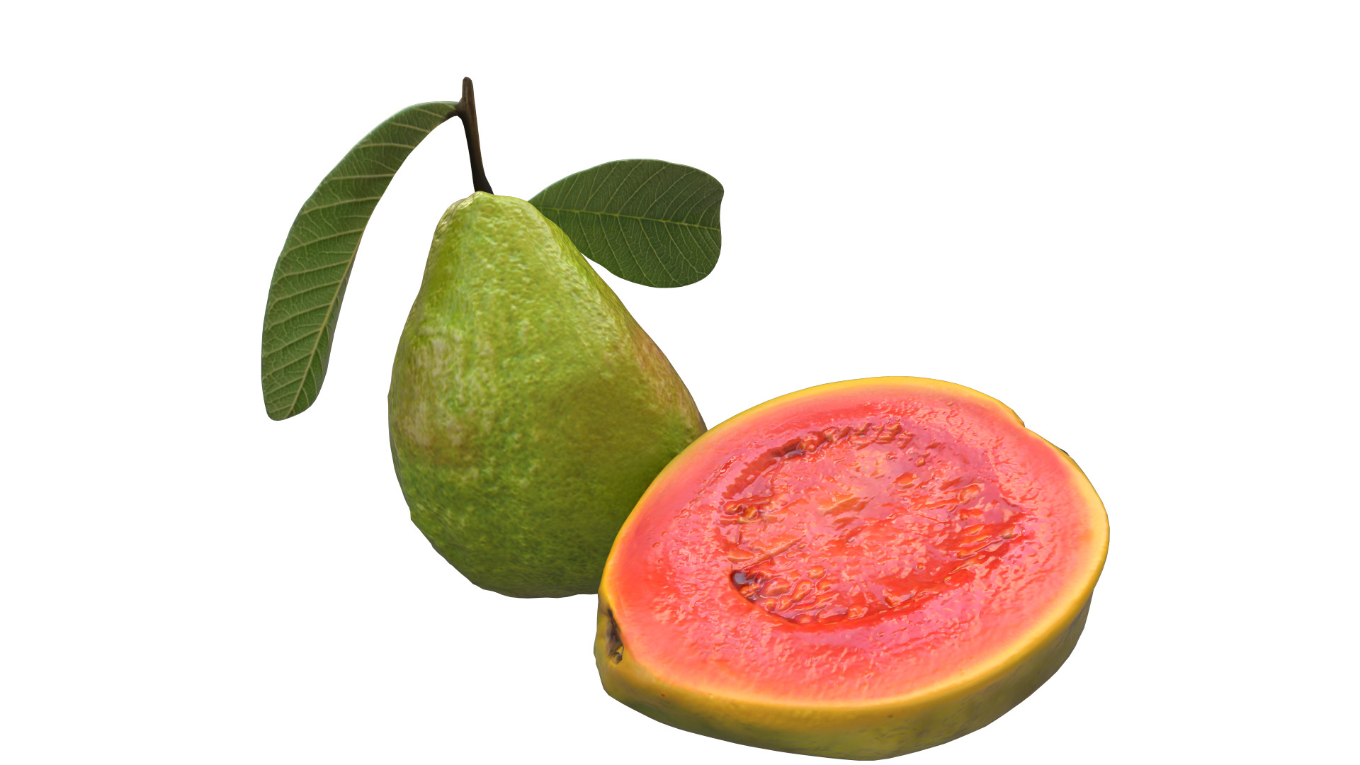  Guava  Low-poly 3D model_7