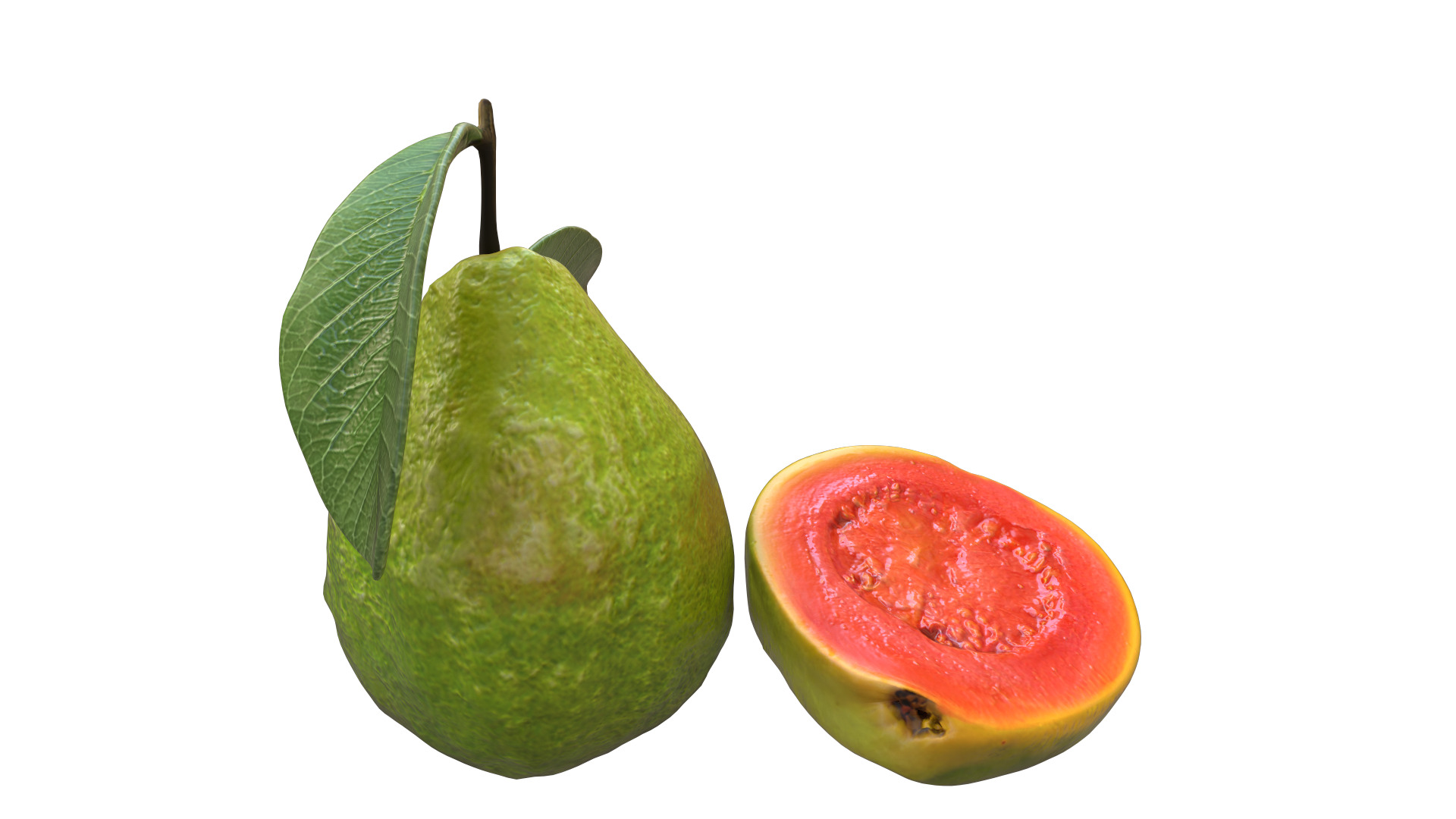  Guava  Low-poly 3D model_8