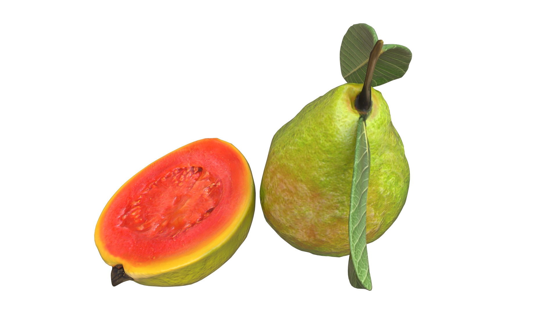  Guava  Low-poly 3D model_6