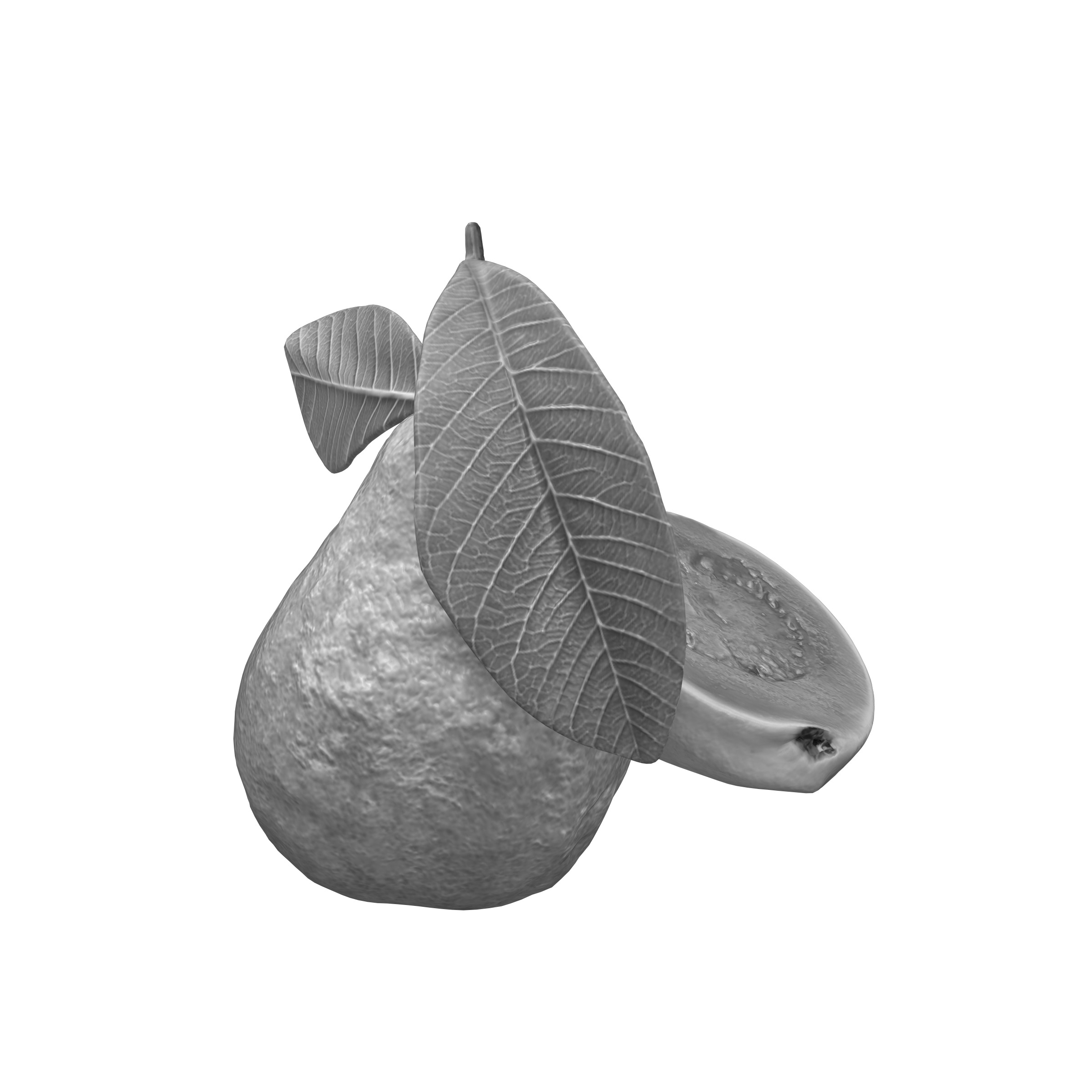  Guava  Low-poly 3D model_17