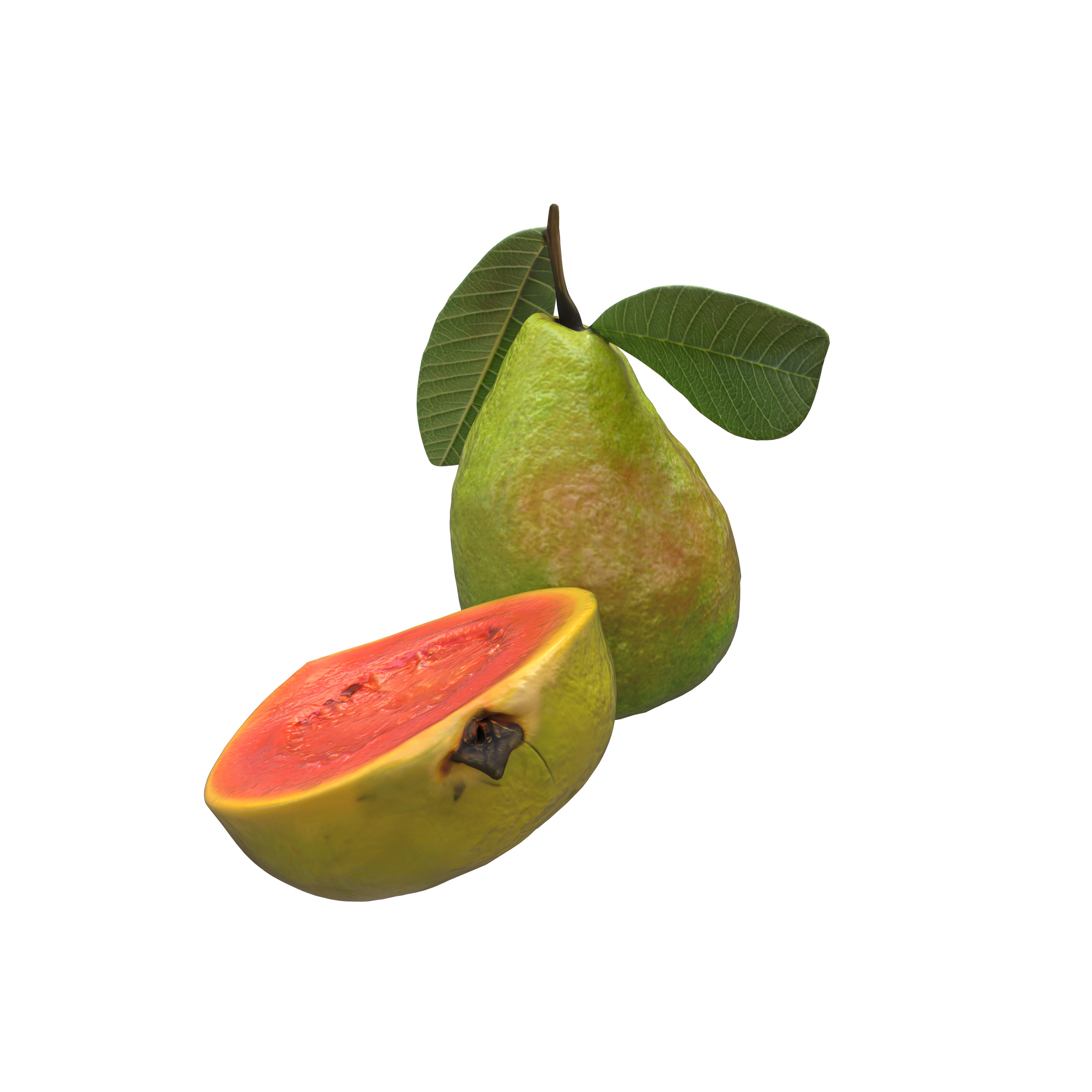  Guava  Low-poly 3D model_13
