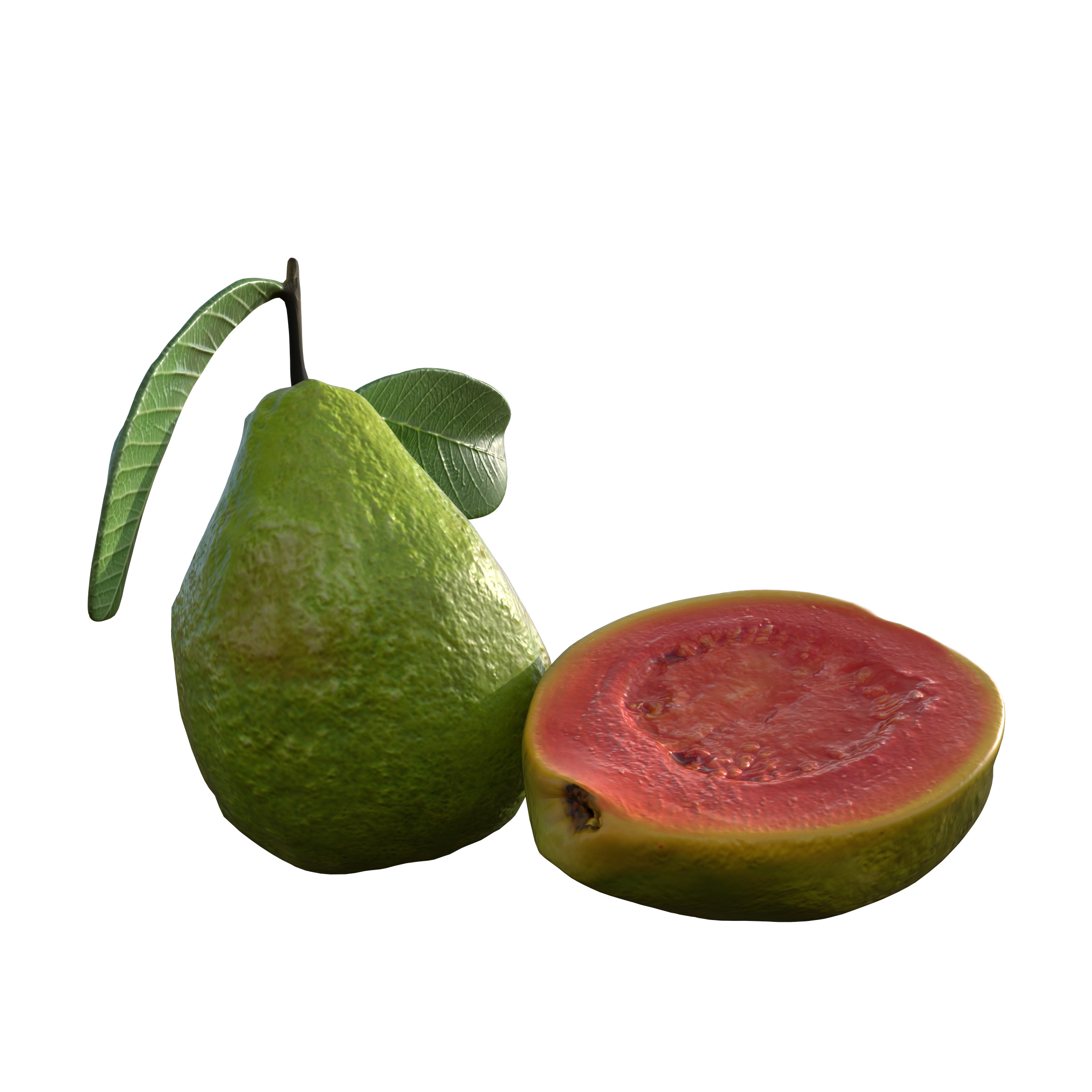  Guava  Low-poly 3D model_2