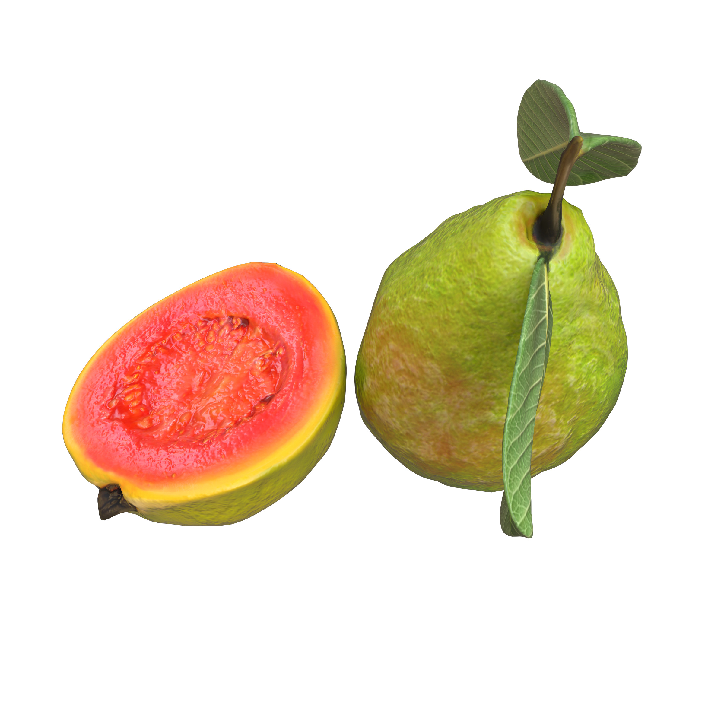  Guava  Low-poly 3D model_15