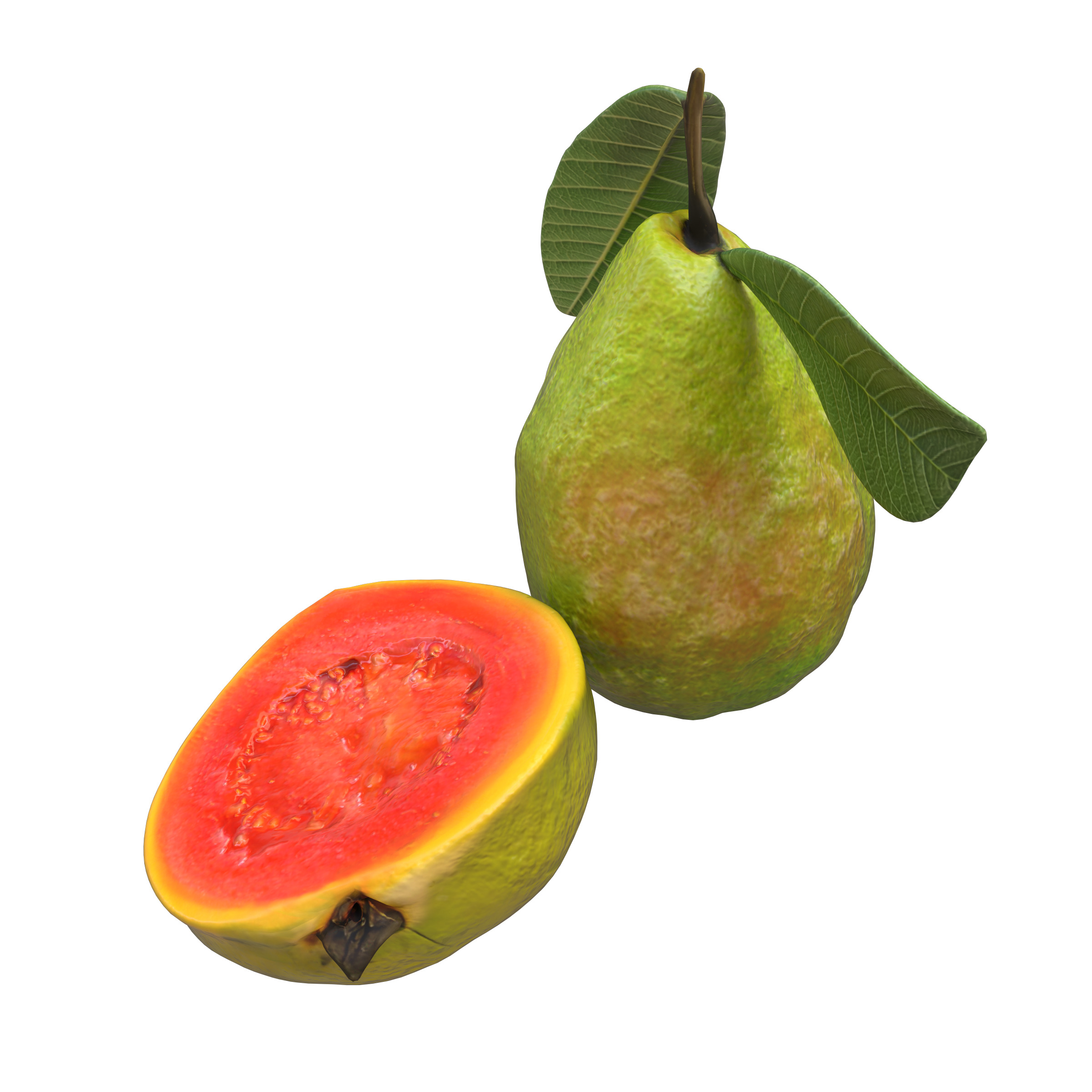  Guava  Low-poly 3D model_14